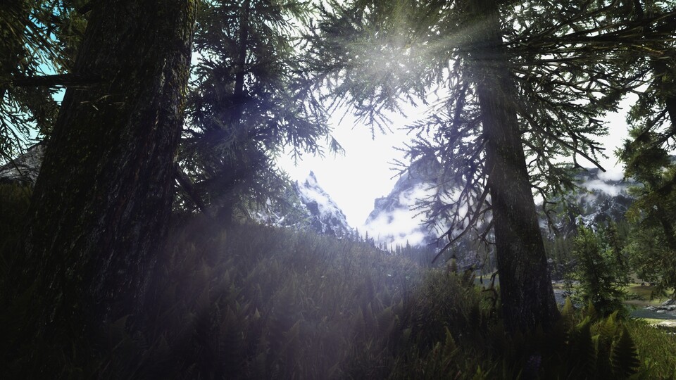 So hübsch ist The Elder Scrolls 5: Skyrim mit 150 Mods.