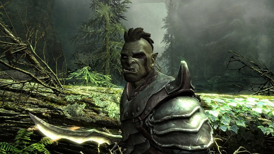 The Elder Scrolls 5: Skyrim: Ob Sie auch mit diesem Ork plaudern können darf bezweifelt werden.
