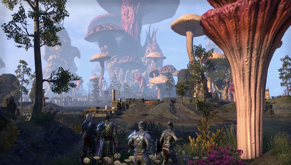 Dank dem Morrowind-Addon können wir künfitg in The Elder Scrolls Online in drei neuen PvP-Arenen antreten.