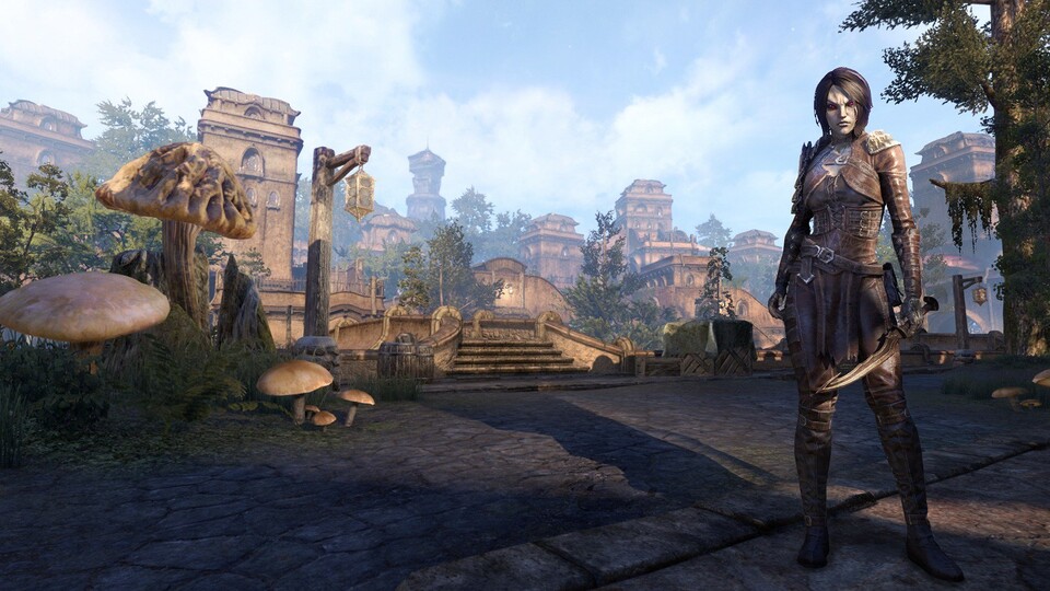 Neue Informationen zu The Elder Scrolls Online: Morrowind aufgetaucht.