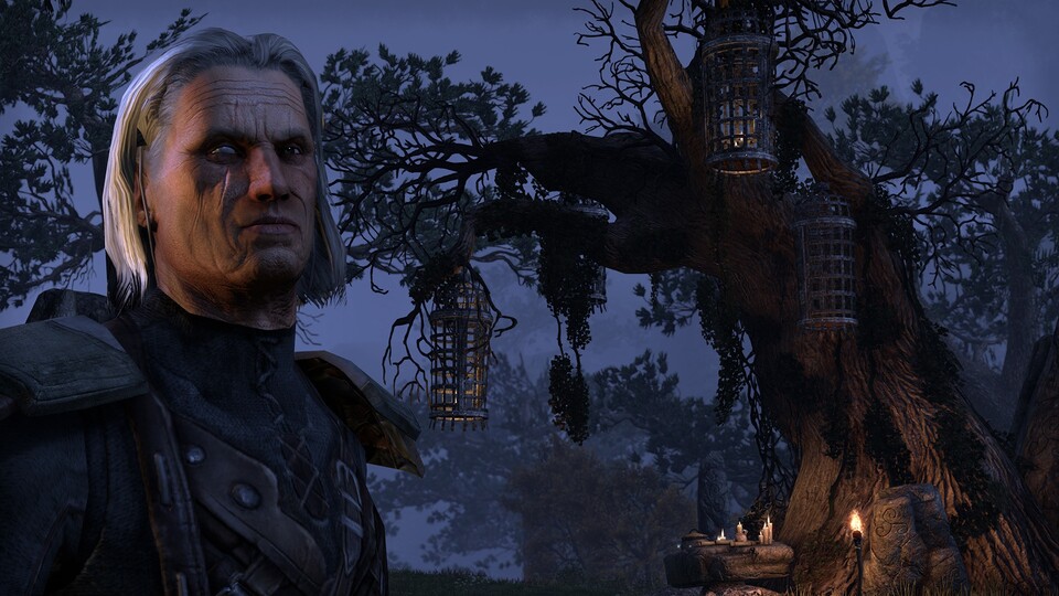 In The Elder Scrolls Online wird es einem Spieler möglich sein, sich zum Kaiser krönen zu lassen. 