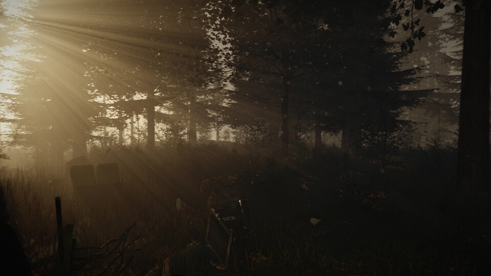 Das Survival-Spiel The Forest wird am 22. Mai 2014 bei Steam Early Access erscheinen. 