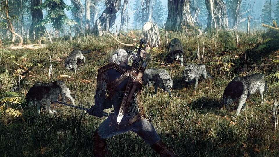 The Witcher 3: Wild Hunt soll eine bisher noch nie dagewesene Dichte an Inhalten zu bieten haben. 