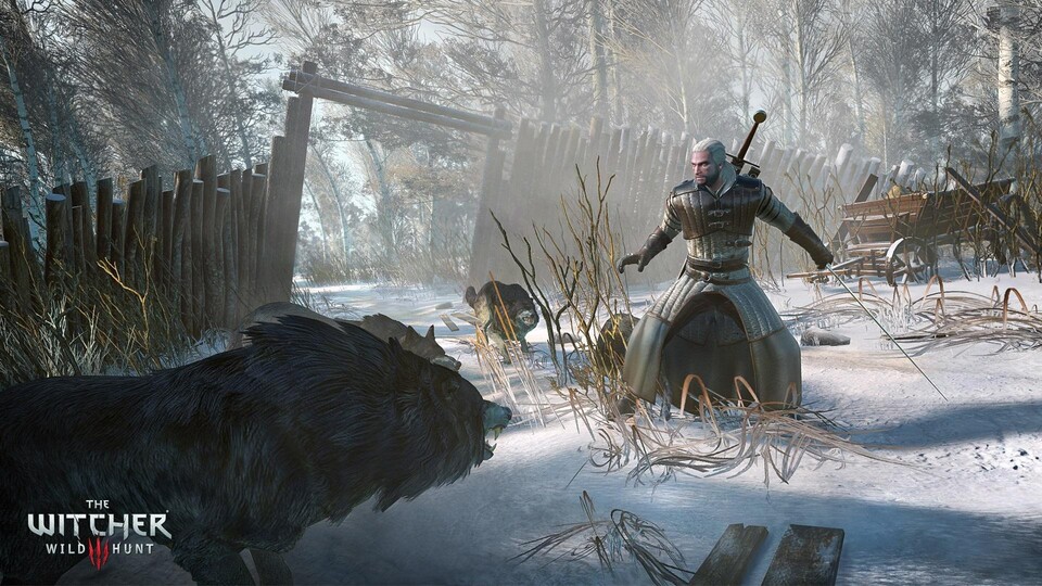 Der Entwickler CD Projekt RED erklärt die erneute Release-Verschiebung von The Witcher 3: Wild Hunt.