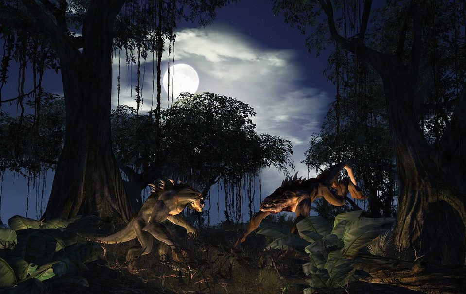 In der Nacht streifen Wer-Bestien durch die Wälder, mit denen sich nur starke Helden anlegen sollten.