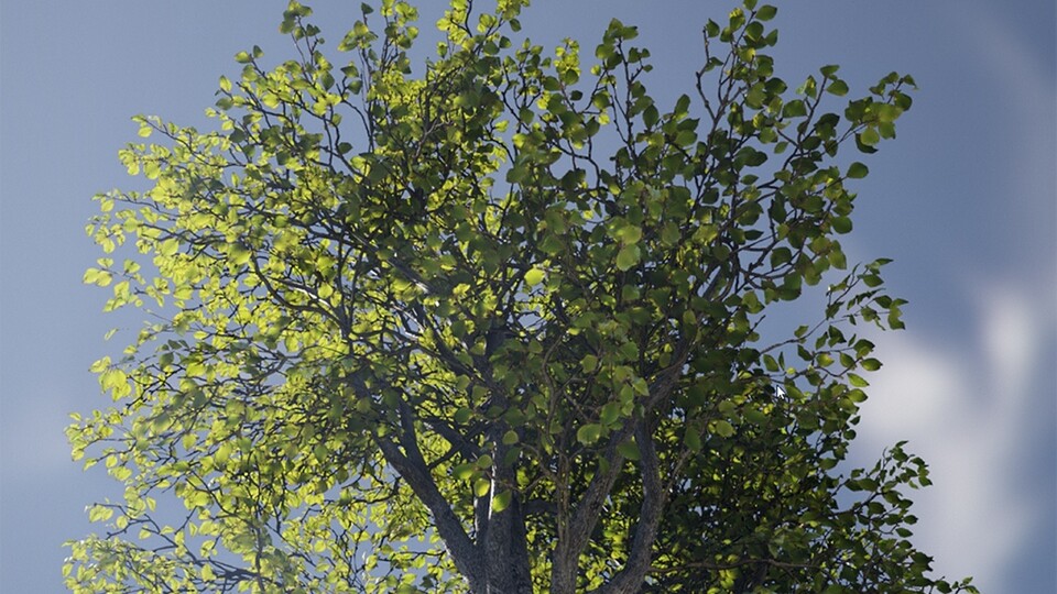 Die Unreal Engine 4.7 sorgt für noch schönere Bäume. (Bildquelle: Epic Games)