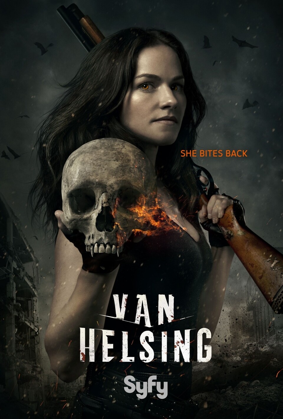Poster zur neuen US-Serie Van Helsing.