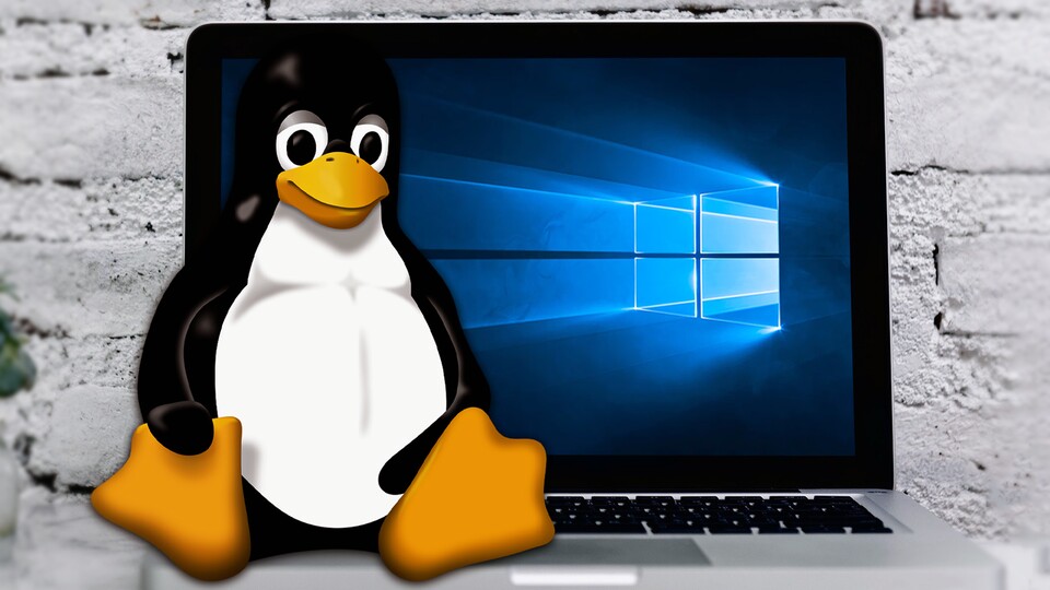 Linux ist beliebt, das steht fest. Aber ist es auf Anhieb für mich geeignet?