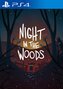 Night in the Woods