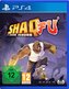 Shaq Fu: A Legend Reborn