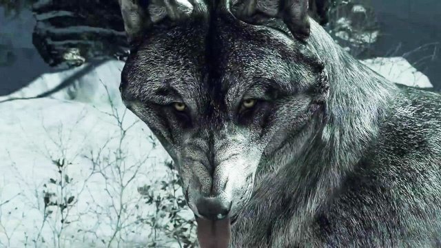 Call of Duty: Ghosts - Gameplay-Trailer zum Wolf-Skin-DLC