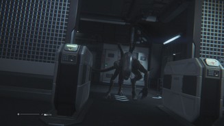 Alien: Isolation - PS4-Screenshots aus der Test-VersionWenn das Alien so zum Sprung ansetzt, ist alles zu spät: Das unvermeidliche Game Over droht!