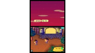 Animal Crossing Wild Wild World DS 11