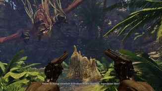 Deadfall AdventuresAb ungefähr der Mitte des Spiels bewegen wir uns ausschließlich durch einen Dschungel samt Tempelanlage. Anfangs noch hübsch anzusehen, wünscht man sich schnell die Abwechslung der ersten Hälfte zurück.