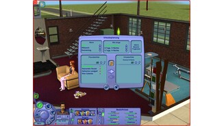 Die Sims 2: Gute Reise 9
