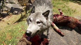 Far Cry PrimalGezähmte Tiere können wir füttern, um sie zu heilen. Streicheln geht auch, allerdings bringt das keine unmittelbaren Vorteile. Eine Art Sympathie-System fehlt.