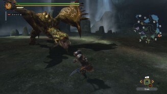 Monster Hunter 3 UltimateVerpasst ihr es, im richtigen Moment auszuweichen, überrennen euch die Biester einfach.