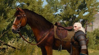 The Witcher 3 - Screenshots mit Nvidia Hairworks und HBAO+