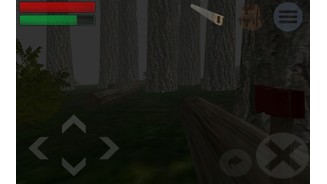 Trapped in the ForestMit dem Werkzeug bekommen die Symbole unten rechts dann endlich eine Funktion und der Spieler kann mit der Welt interagieren und Ressourcen sammeln.