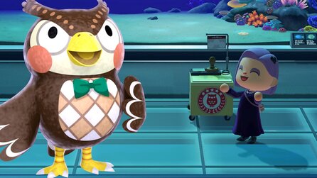 Teaserbild für Museumstag 2024 in Animal Crossing - Darum lohnt sich die Stempeljagd