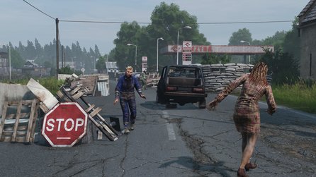 DayZ - Screenshots von der DLC-Map Livonia