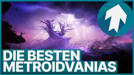 Ihr liebt Hollow Knight Silksong, auf den Genre-Thron habt ihr aber ein anderes Spiel gesetzt
