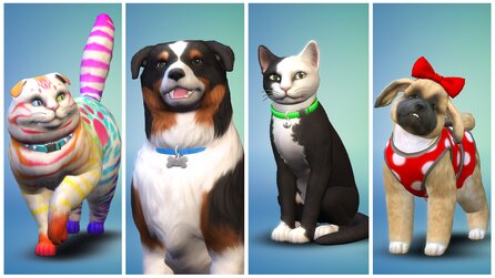 Die Sims 4: Hunde + Katzen im Test - Fummeliger Vierbeiner-Spaß