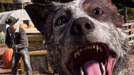 Far Cry 5 - Title-Update 8 bringt Fotomodus