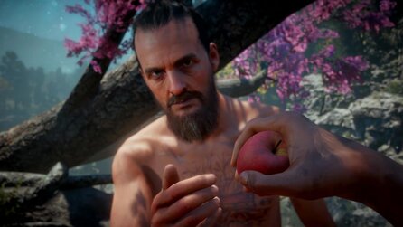 Far Cry New Dawn - Test-Übersicht: Ein mittelprächtiger Shooter
