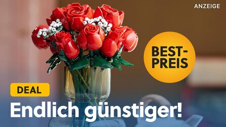 LEGO-Blumen zum Hammerpreis: Der langlebigste Blumenstrauß der Welt ist gerade so günstig, dass ich fast schon selbst zuschlage!