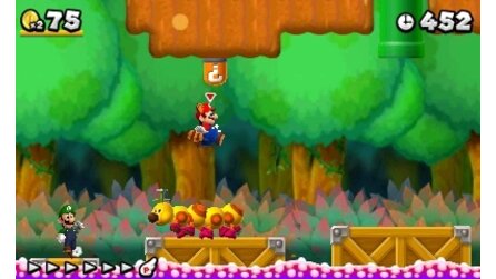 New Super Mario Bros. 2 - Europa-Release; erhält Bezahl-DLCs