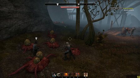 The Elder Scrolls Online - Probleme und Bugs zum Release (ein Auszug)