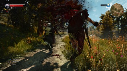 The Witcher 3 - Heikos Screenshots aus der Next-Gen-Version