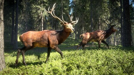 theHunter: Call of the Wild - Gameplay-Trailer zeigt Spielszenen aus dem Open World-Jagdspiel