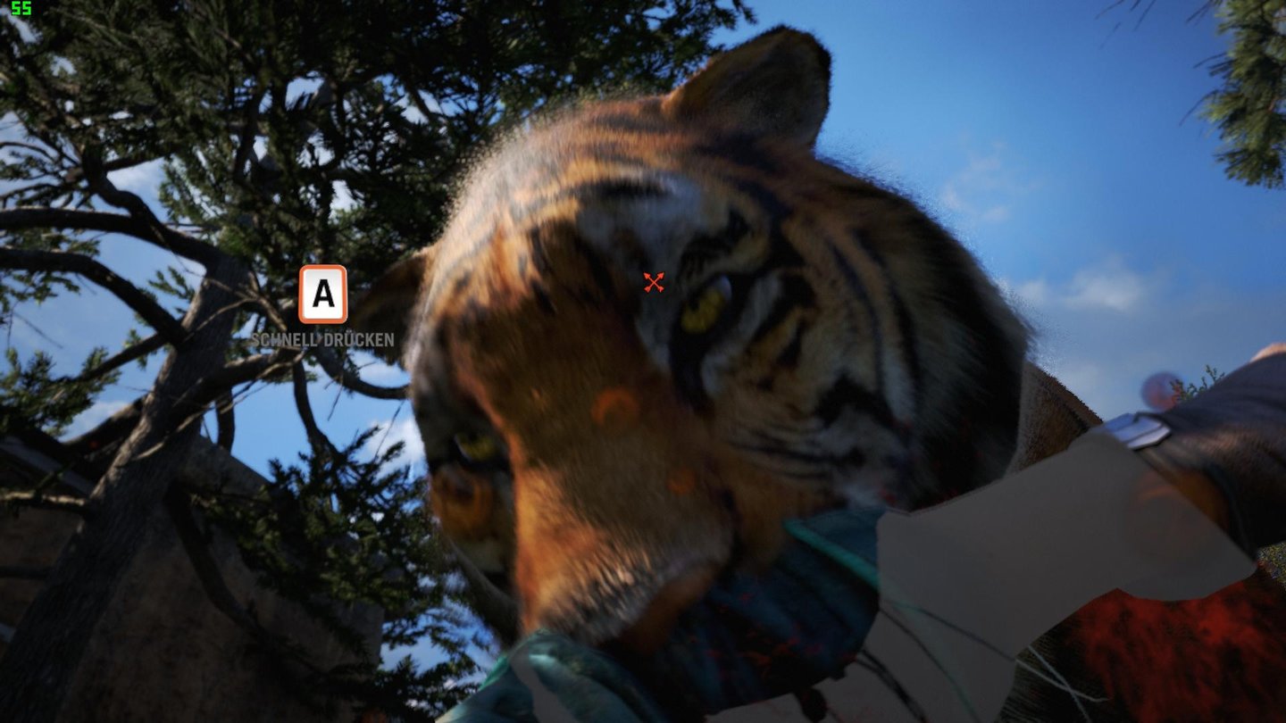 Far Cry 4Dieser Tiger ist von einem der Jäger auf uns gehetzt worden. Nur, wenn wir schnell auf A hämmern, überleben wir seinen Kuss.