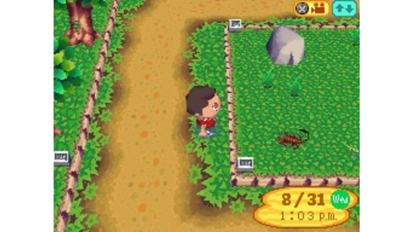 Animal Crossing Wild Wild World DS 3