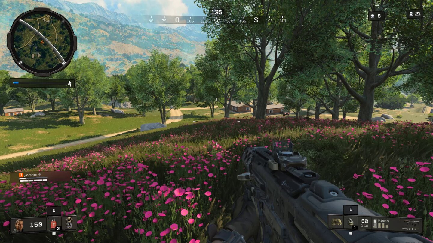 Call of Duty: Black Ops 4Auf der weitläufigen Karte finden sich Felder, Wälder, Hügelregionen und Siedlungen. Teilweise hübsch, teilweise gibt es matschige Texturen.