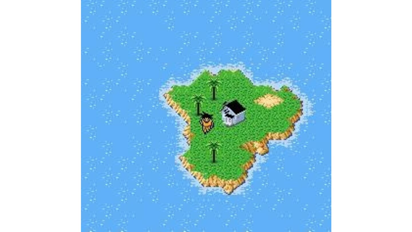 Starting the game on Roshi's island
