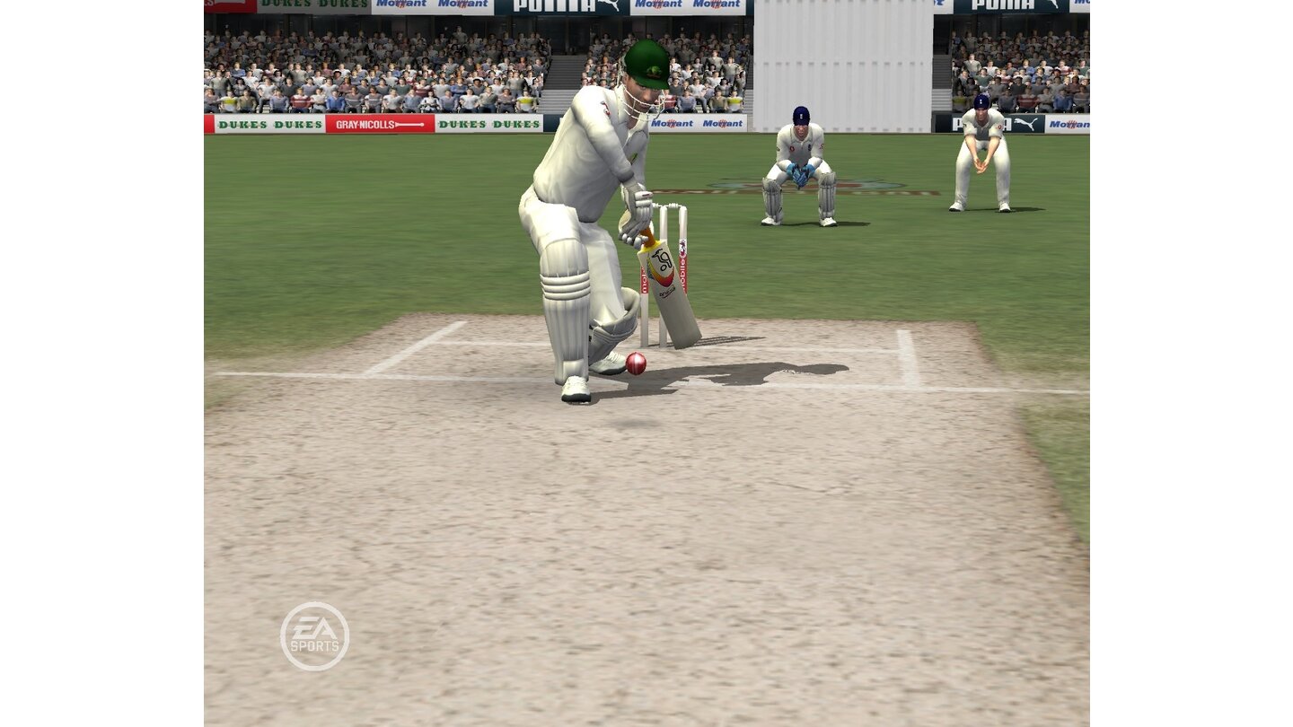 EA Sports Cricket 07 28
