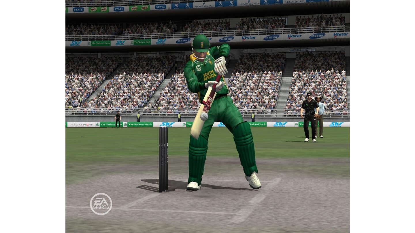 EA Sports Cricket 07 29
