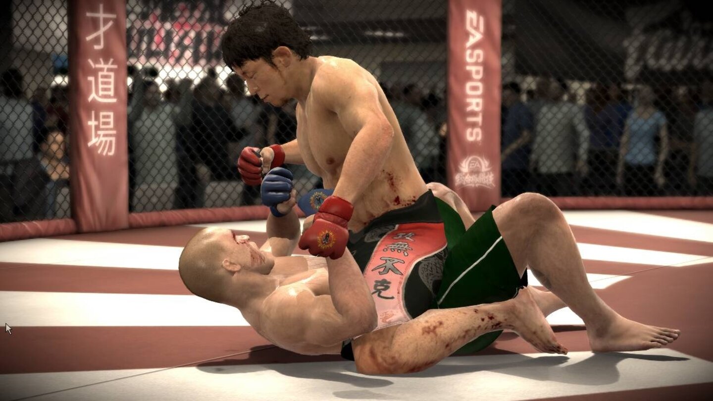 EA Sports MMA