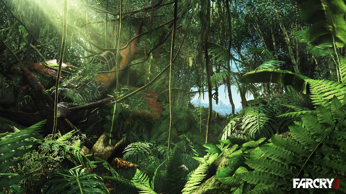 Far Cry 3Im dichten Dschungel verrottet ein Jagdflugzeug aus dem Zweiten Weltkrieg. Hat der Absturz der Maschine etwas mit dem finsteren Geheimnis der Insel zu tun?