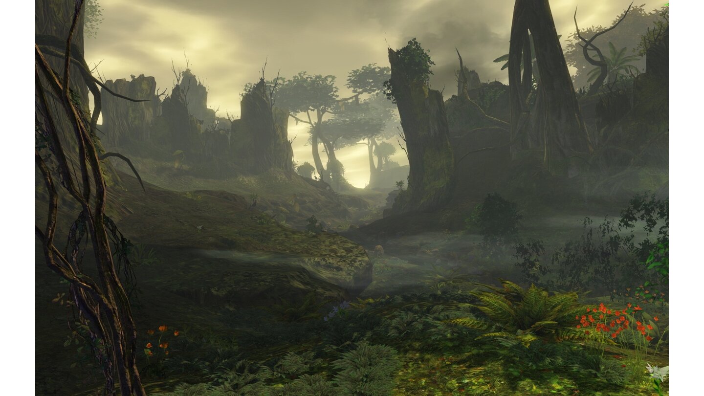 Guild Wars 2Caledon-Wald: Noch ein weiteres Bild von den Wäldern von Caledon.