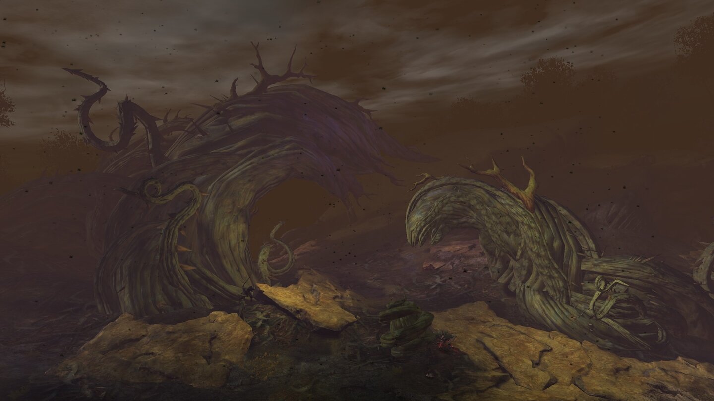 Guild Wars 2 - Screenshots aus dem Update »Dragon's Reach«