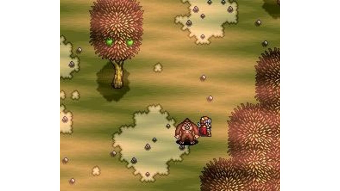 Ogres attack in this forest with strange trees
