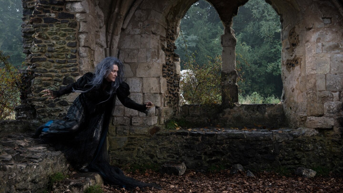 Into the WoodsMeryl Streep ist für ihre Darstellung der Hexe für einen Oscar nominiert.