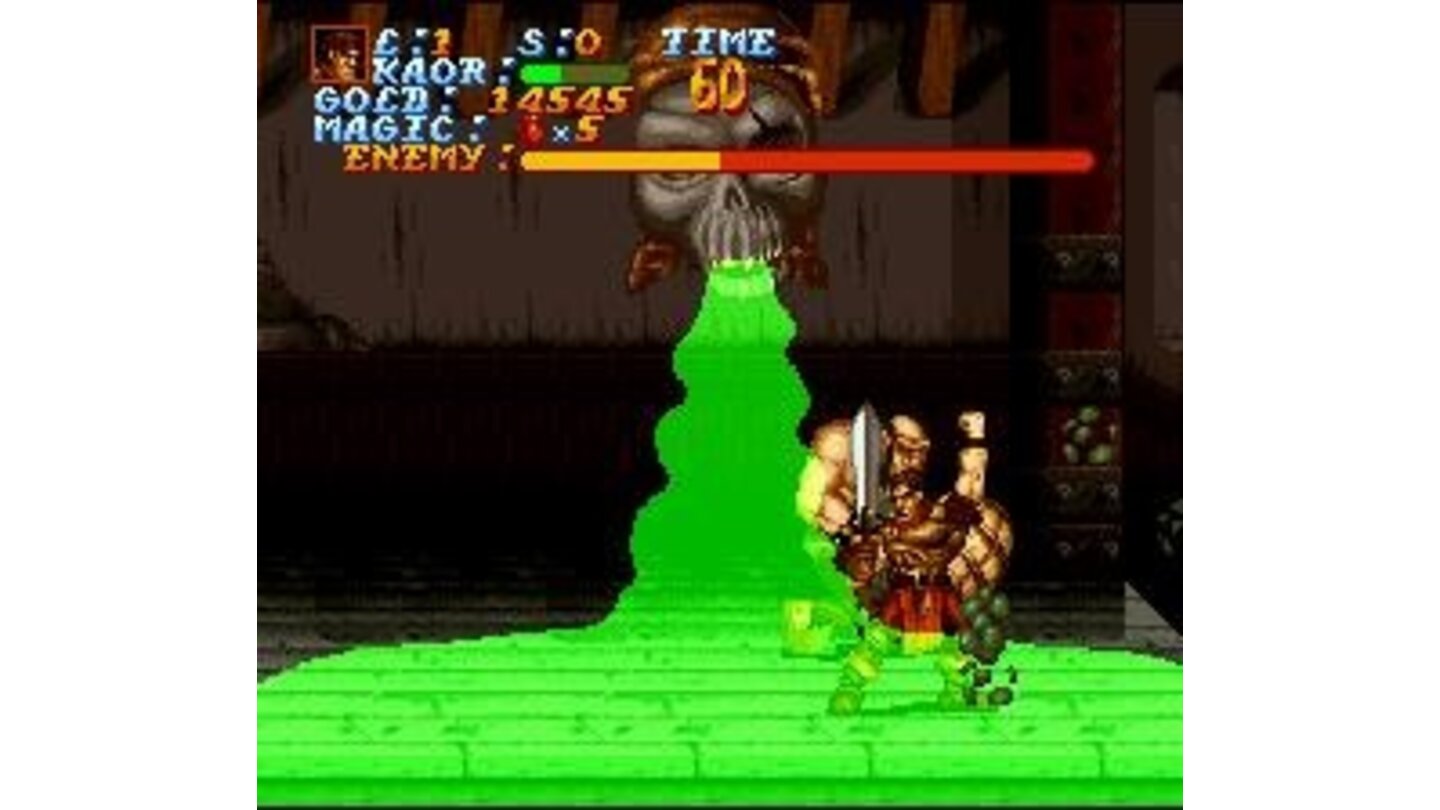 Using a spell in a boss-fight. Much like in Golden Axe, you can pick up magic bags that allow you to use spells.