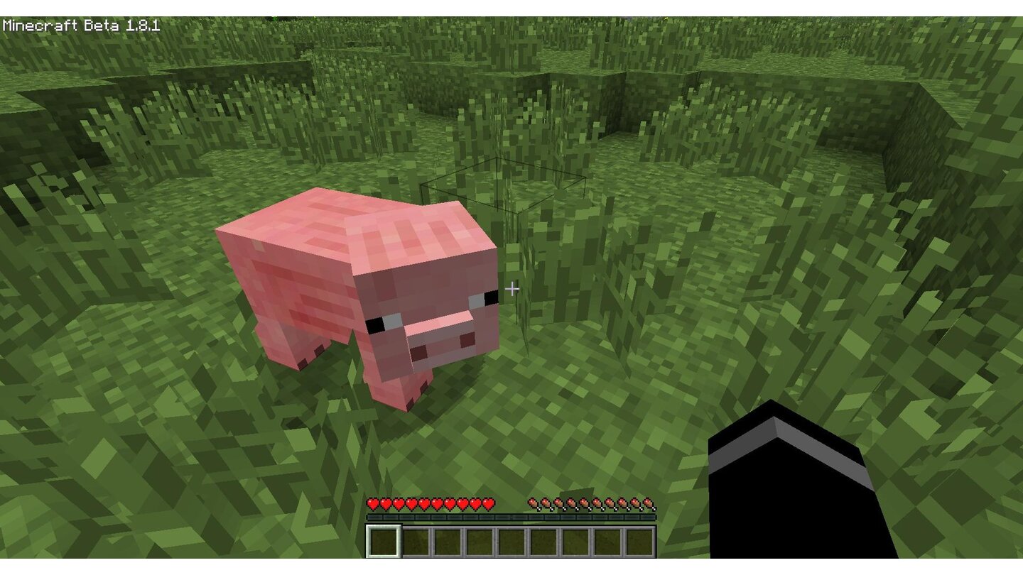 Minecraft - Adventure-Update 1.8 Mit dem Adventure-Update erhalten Schweine dreidimensionale Schnauzen.
