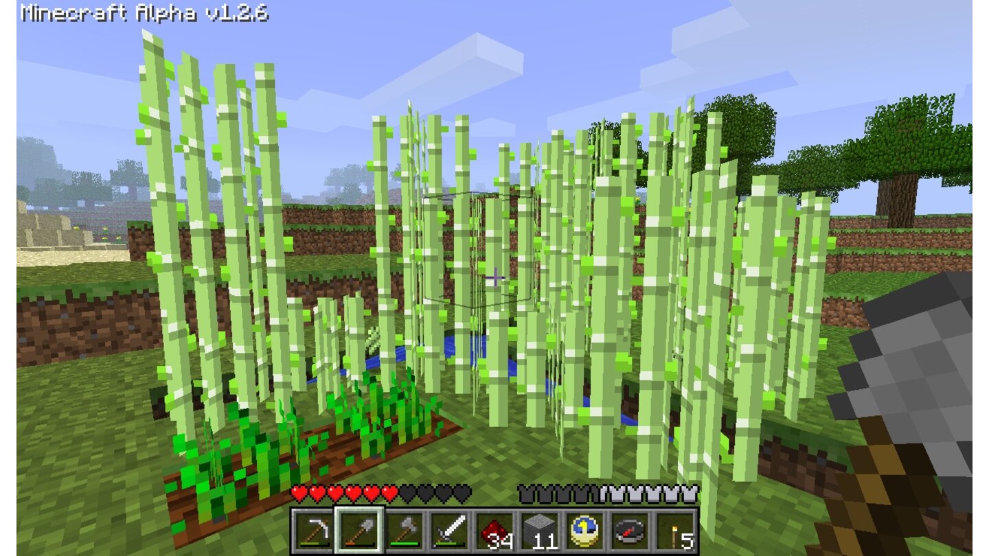 MinecraftWer ein Bewässerungssystem anlegt, kann Getreide und Schilfrohr züchten.