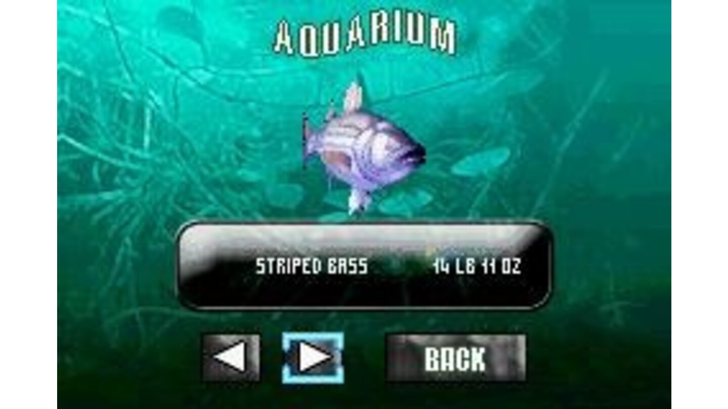 The Aquarium stores your 6 largest fish ever caught so you can view them later
